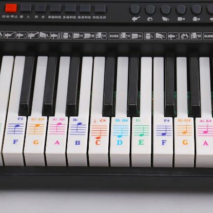 Picture of Piano Keyboard Sticker for Learning